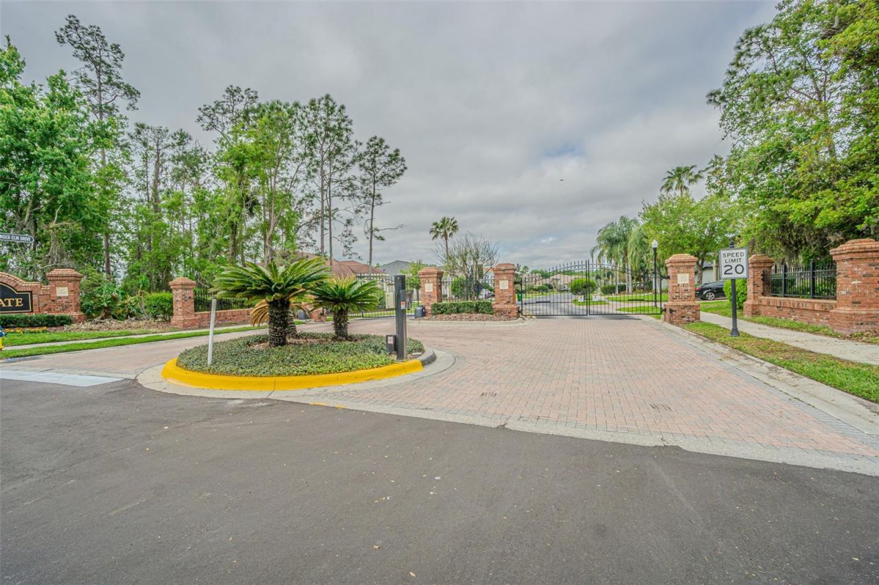 27053 Winged Elm Drive, Wesley Chapel, FL 33544 Photo