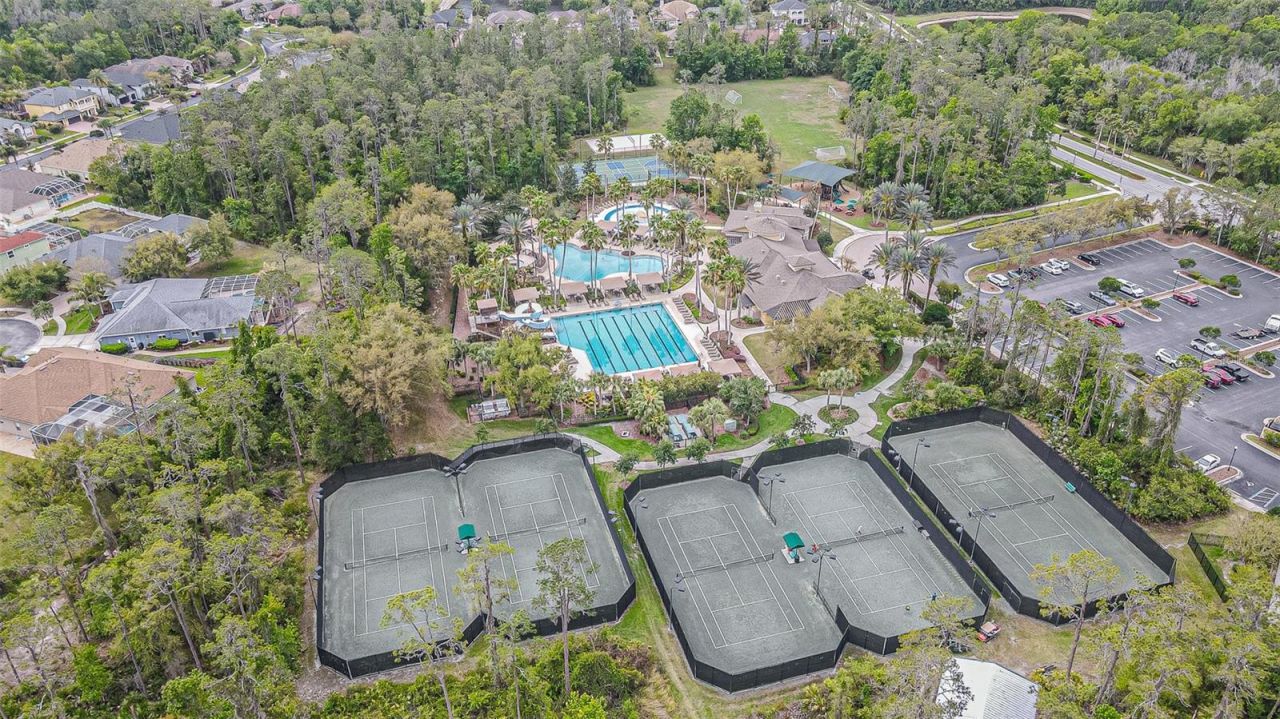 27053 Winged Elm Drive, Wesley Chapel, FL 33544 Photo