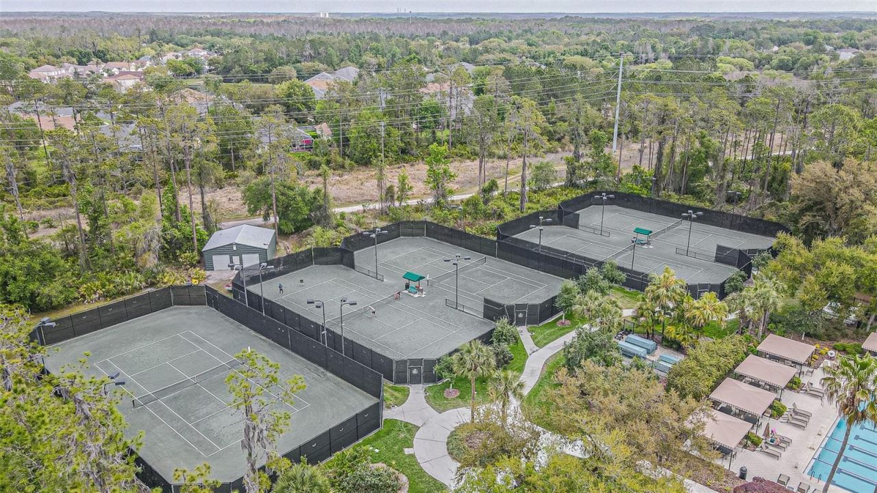 27053 Winged Elm Drive, Wesley Chapel, FL 33544 Photo