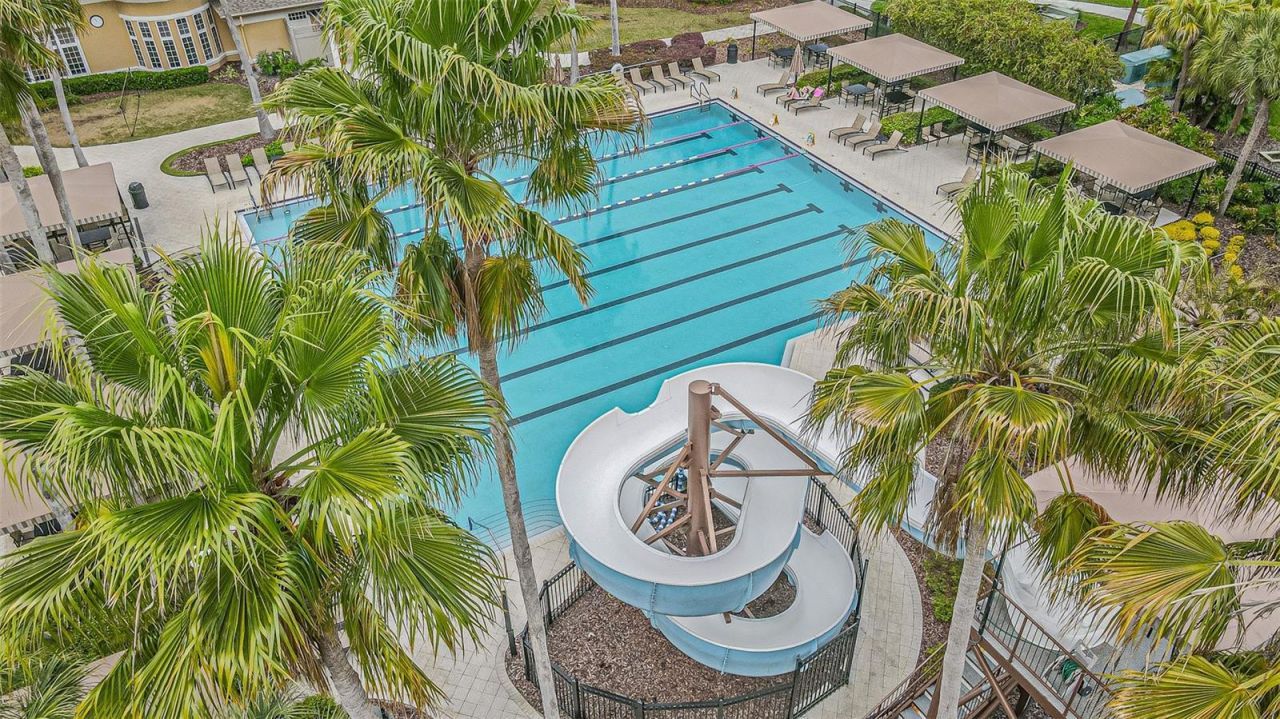 27053 Winged Elm Drive, Wesley Chapel, FL 33544 Photo