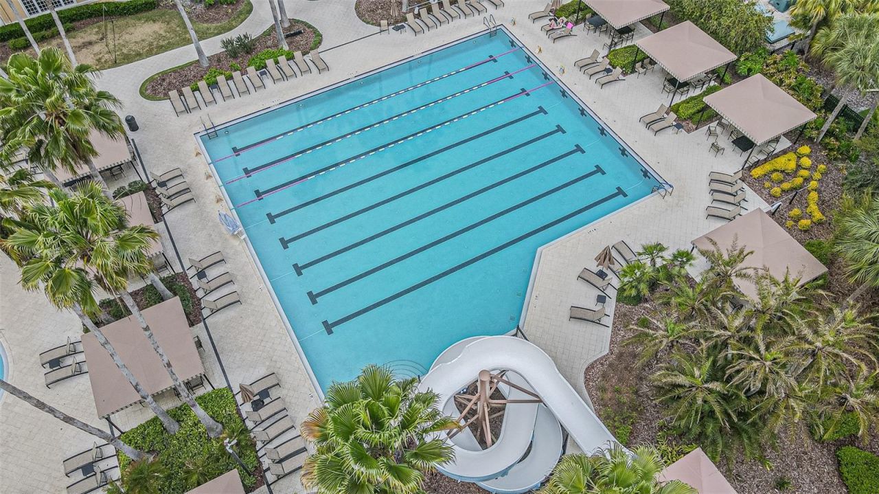 27053 Winged Elm Drive, Wesley Chapel, FL 33544 Photo