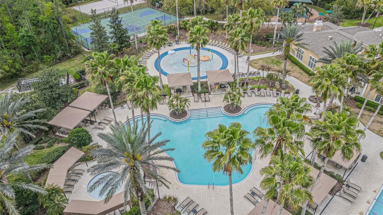 27053 Winged Elm Drive, Wesley Chapel, FL 33544 Photo