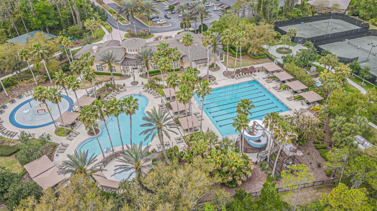 27053 Winged Elm Drive, Wesley Chapel, FL 33544 Photo