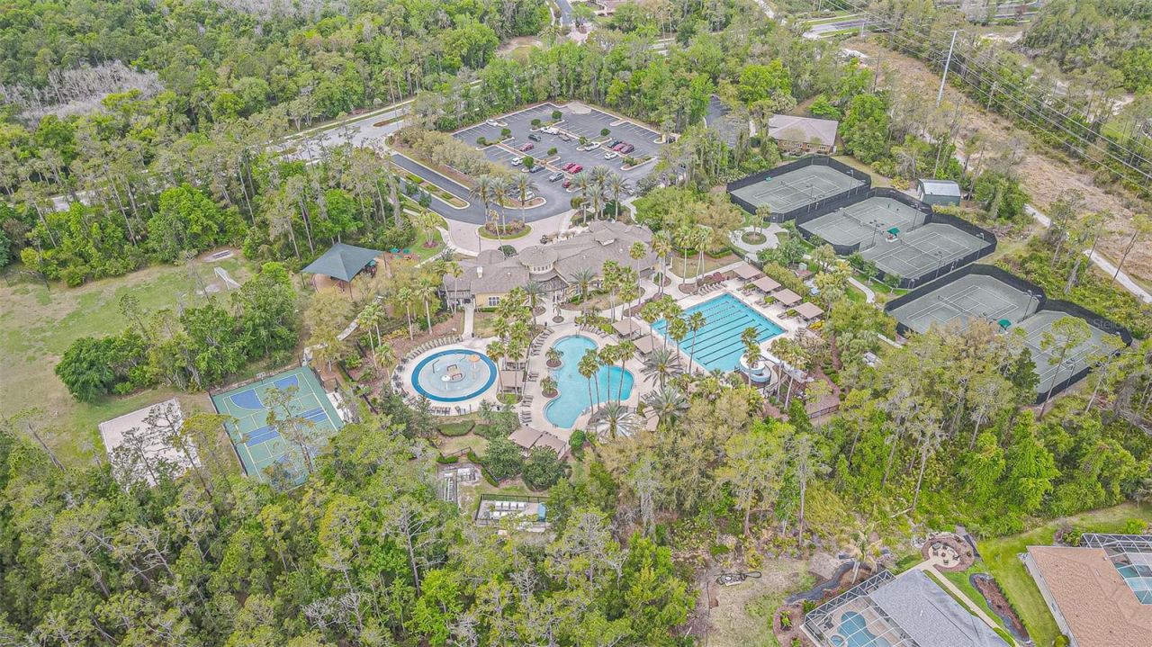 27053 Winged Elm Drive, Wesley Chapel, FL 33544 Photo