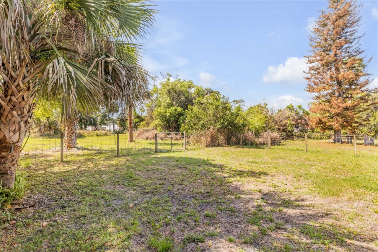 114 W Pine Bluff Street, Edgewater, FL 32132 Photo