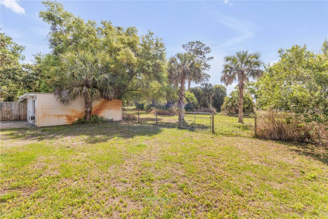 114 W Pine Bluff Street, Edgewater, FL 32132 Photo