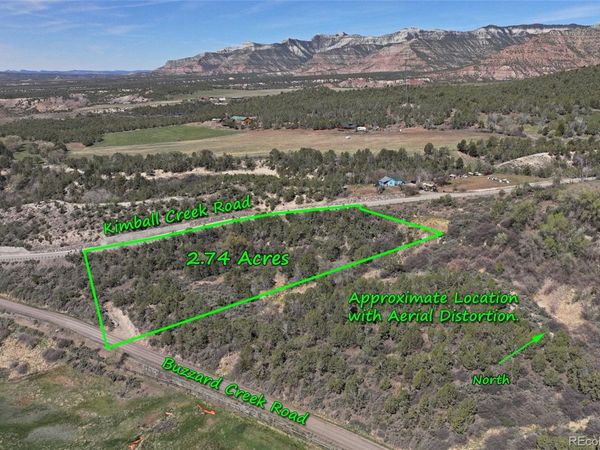 58450 Buzzard Creek Road, Collbran, CO 81624