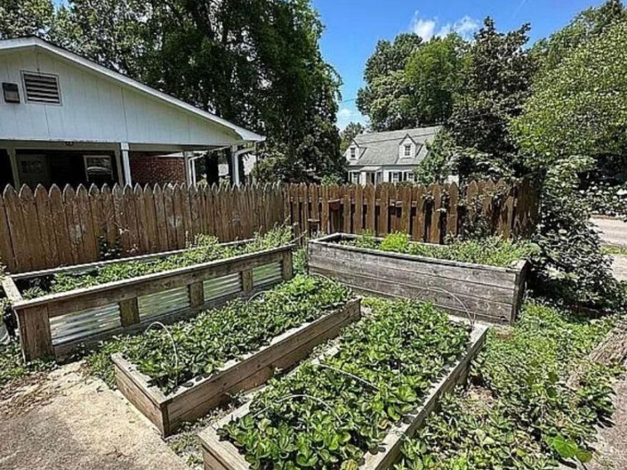 Property Image 85