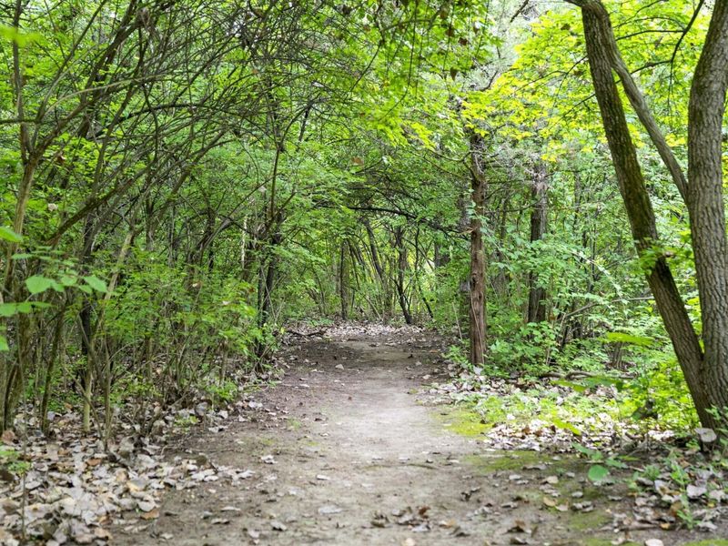 1439 Cliff Court, Unit 65, Columbus, OH 43204 Photo 49