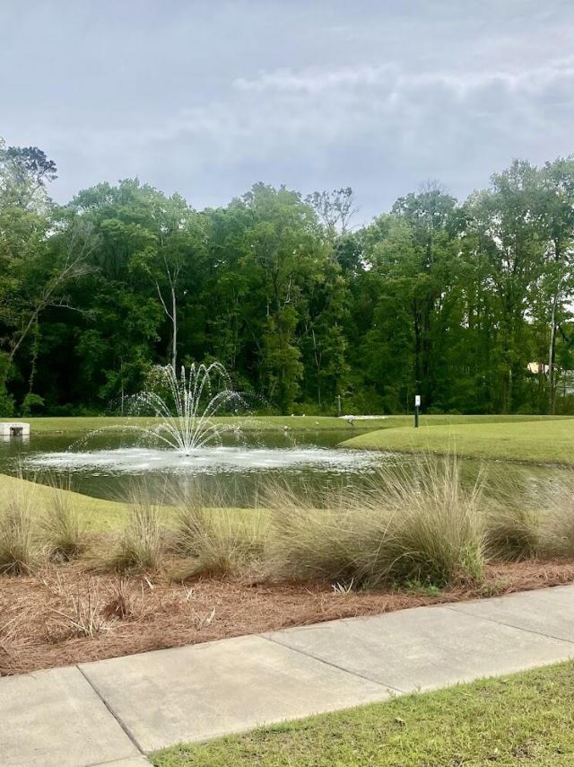 174 Yarrow Way Photo 21