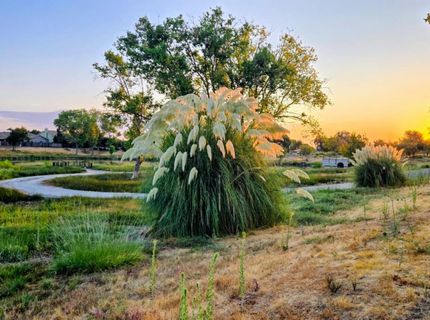 2001 Club Center Dr #1140, Unit 1140, Sacramento, CA 95835 Photo