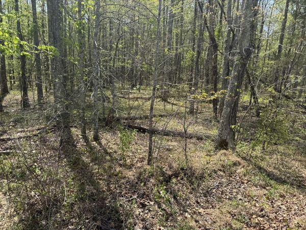 0 Lewis Road, Chapmansboro, TN 37035