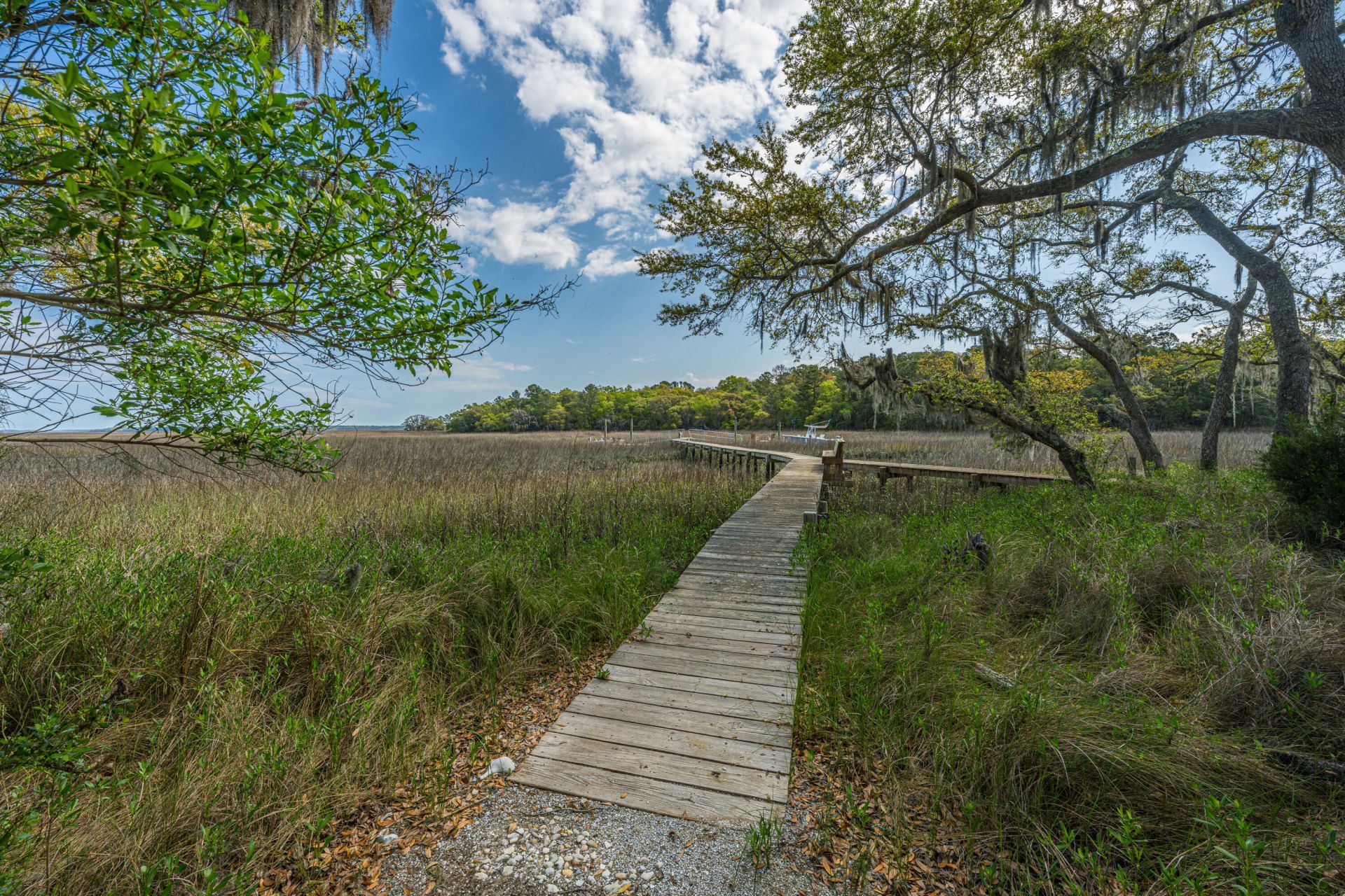 7731 Chaplin Garden Lane Photo 14