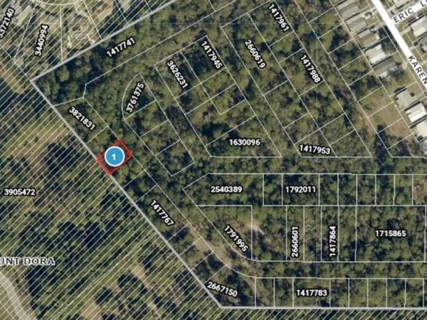 Lot 23 PARK FOREST BLVD , MOUNT DORA, FL 32757