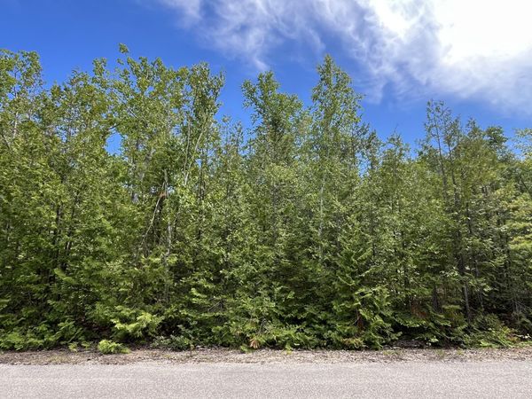 L 212-213 Shoreham Court, Presque Isle, MI 49777