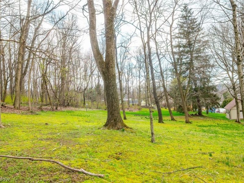 241 Monroe Street , Fredericksburg, OH 44627 Photo 41