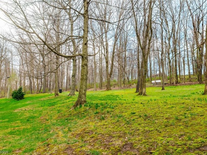 241 Monroe Street , Fredericksburg, OH 44627 Photo 47