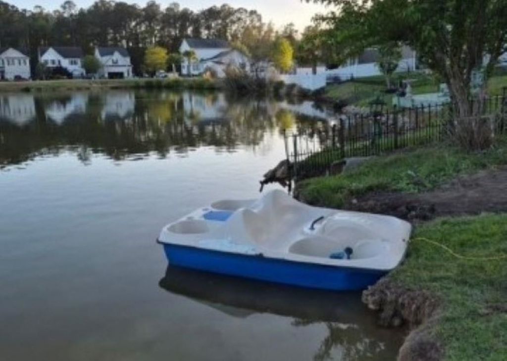 114 Murphy Way Photo 50