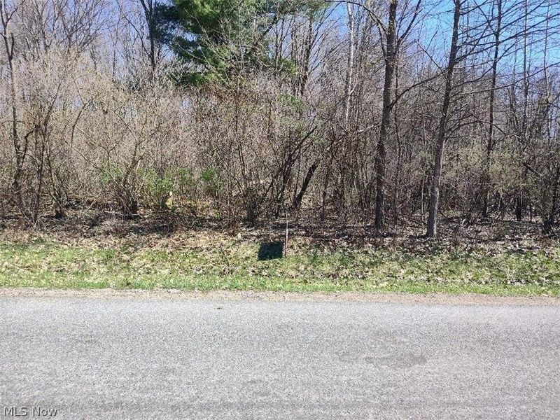 1302-03 Morning Star Drive, Roaming Shores, OH 44084 Photo 1