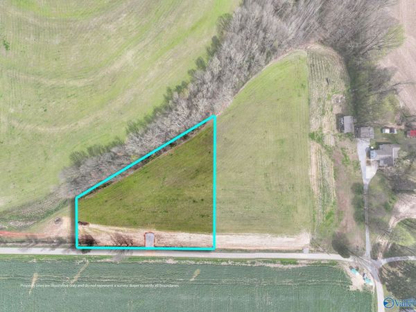 25634 W County Line Road, Anderson, AL 35610