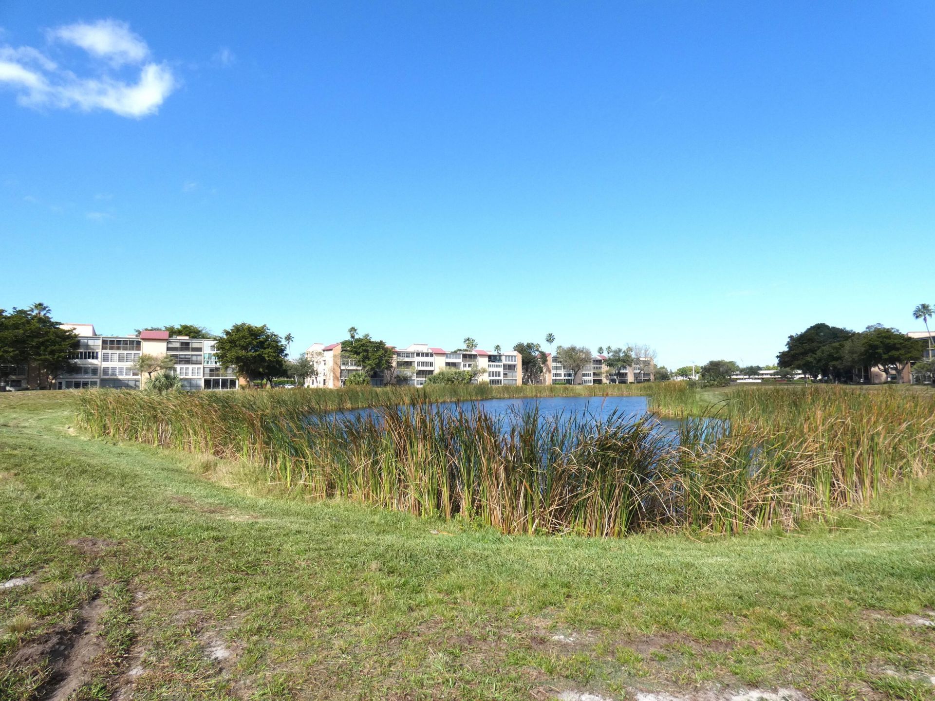 357 N Rock Island Road, Unit 407, Margate, FL 33063 Photo