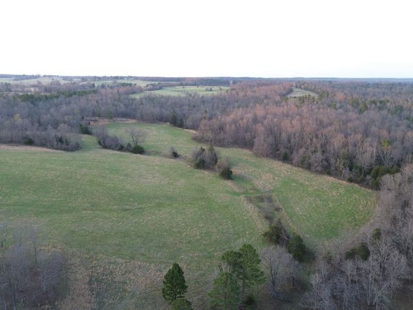Tract #3 County Road Ww-A, Summersville, MO 65571