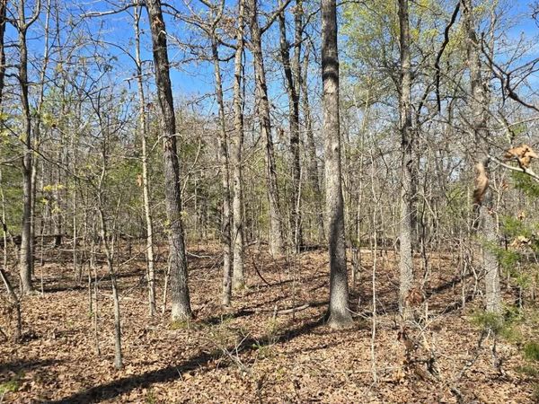 000 Timber Road , Tunas, MO 65764