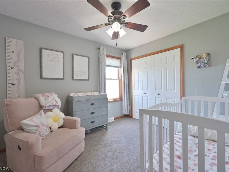 17327 Wheeler Road, Lagrange, OH 44050 Photo 33