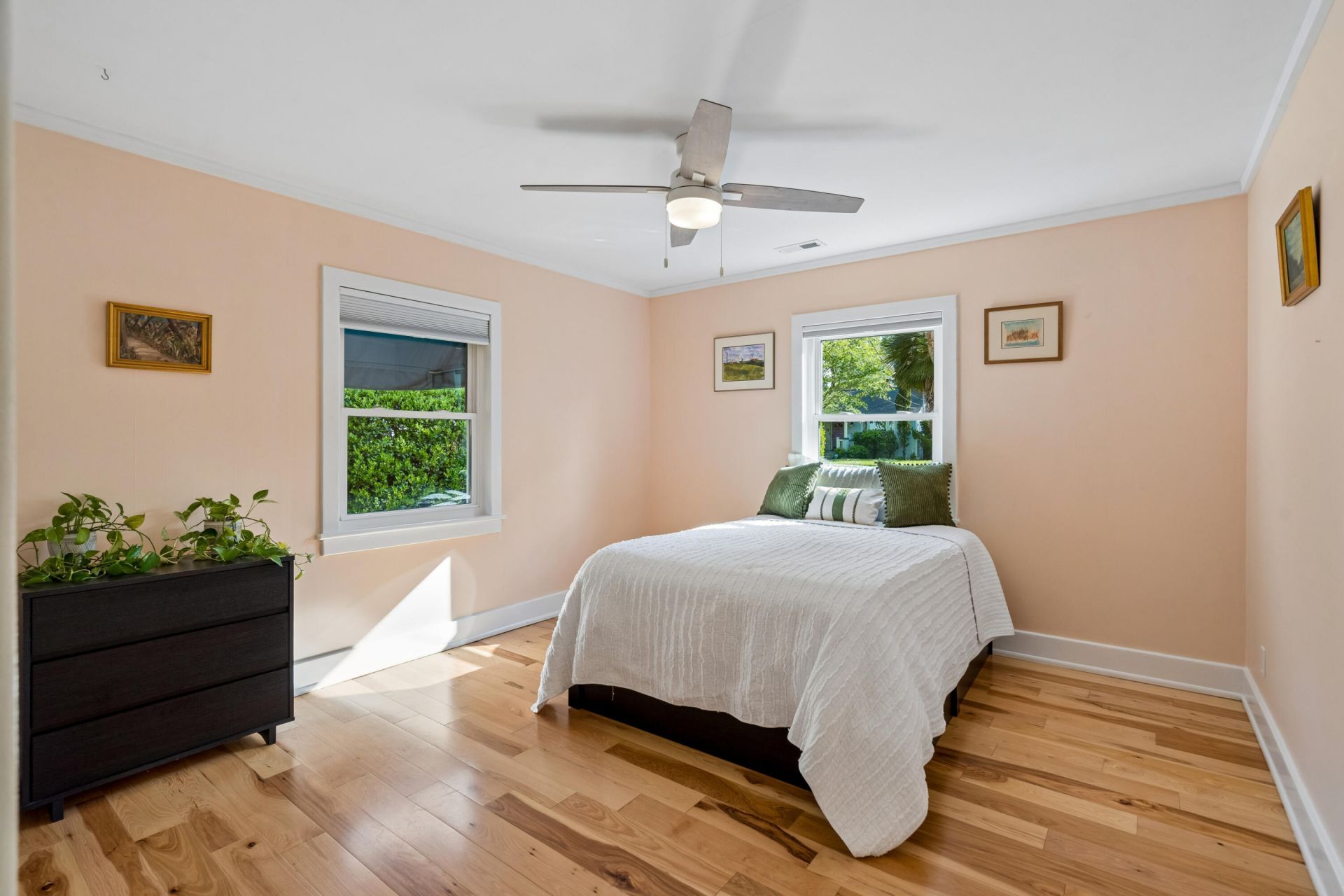 1 Peeks Pike Photo 34