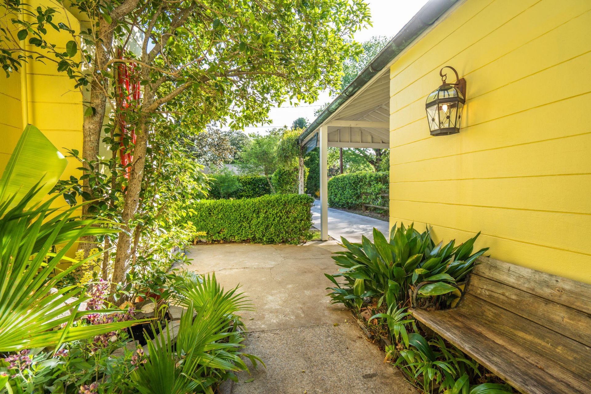 1 Peeks Pike Photo 9