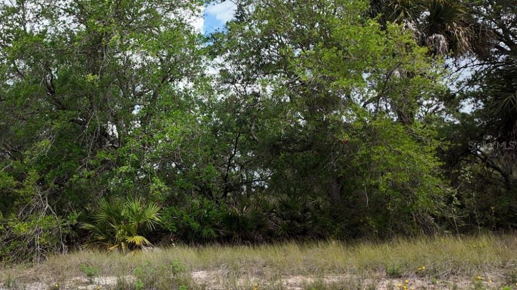 3104 51st Street W, Lehigh Acres, FL 33971 Photo