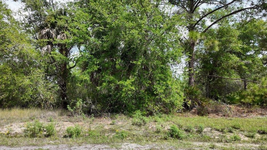 3104 51st Street W, Lehigh Acres, FL 33971 Photo