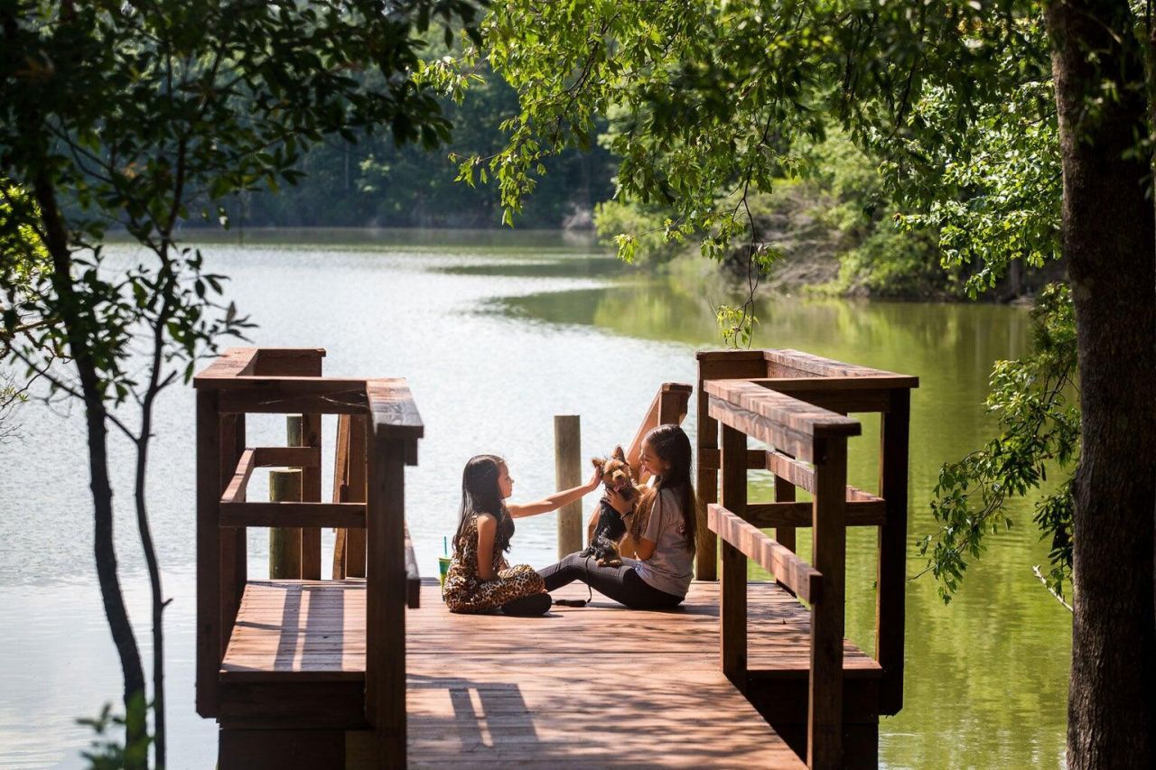 1035 Adirondack Drive Photo 32