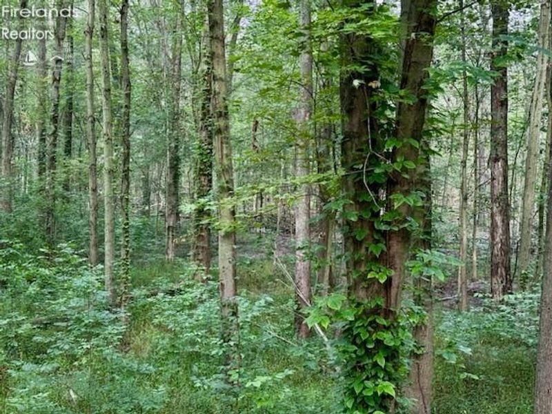 13460 Gifford Road, Oberlin, OH 44074 Photo 48