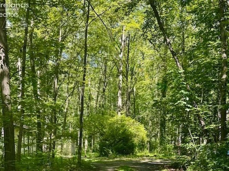 13460 Gifford Road, Oberlin, OH 44074 Photo 49