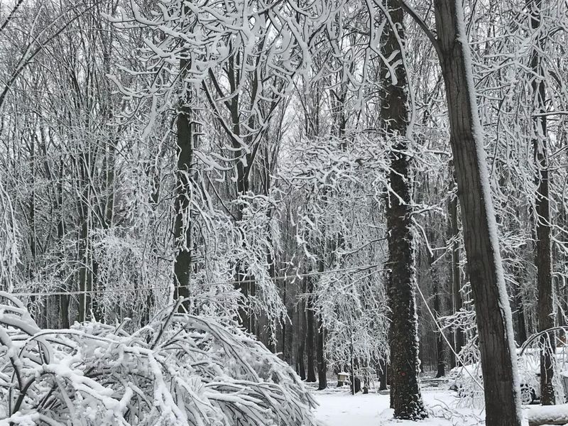 13460 Gifford Road, Oberlin, OH 44074 Photo 52