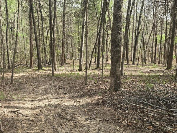 2700 Independence Road, Huntingdon, TN 38344