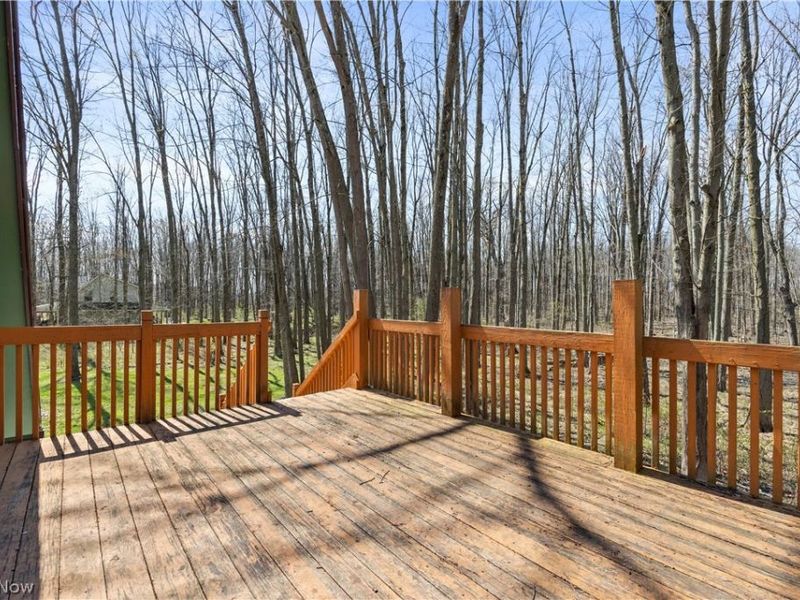 13460 Gifford Road, Oberlin, OH 44074 Photo 38