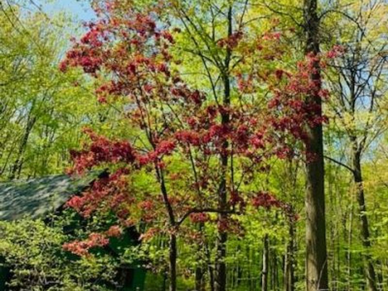 13460 Gifford Road, Oberlin, OH 44074 Photo 45