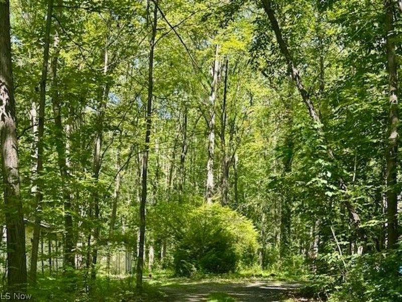 13460 Gifford Road, Oberlin, OH 44074 Photo 47