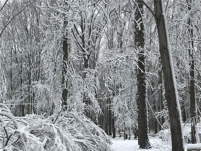 13460 Gifford Road, Oberlin, OH 44074 Photo 50