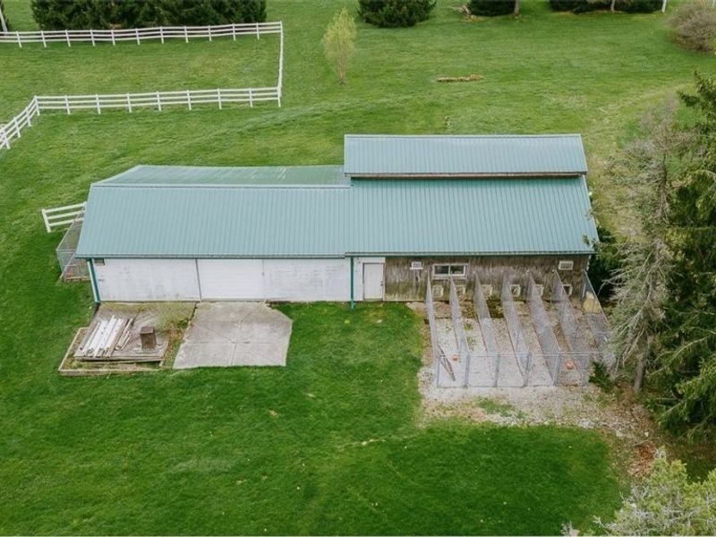 8173 Ballash Road, Medina, OH 44256 Photo 14