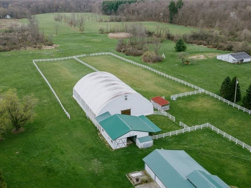 8173 Ballash Road, Medina, OH 44256 Photo 15