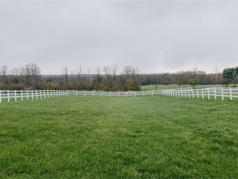 8173 Ballash Road, Medina, OH 44256 Photo 20