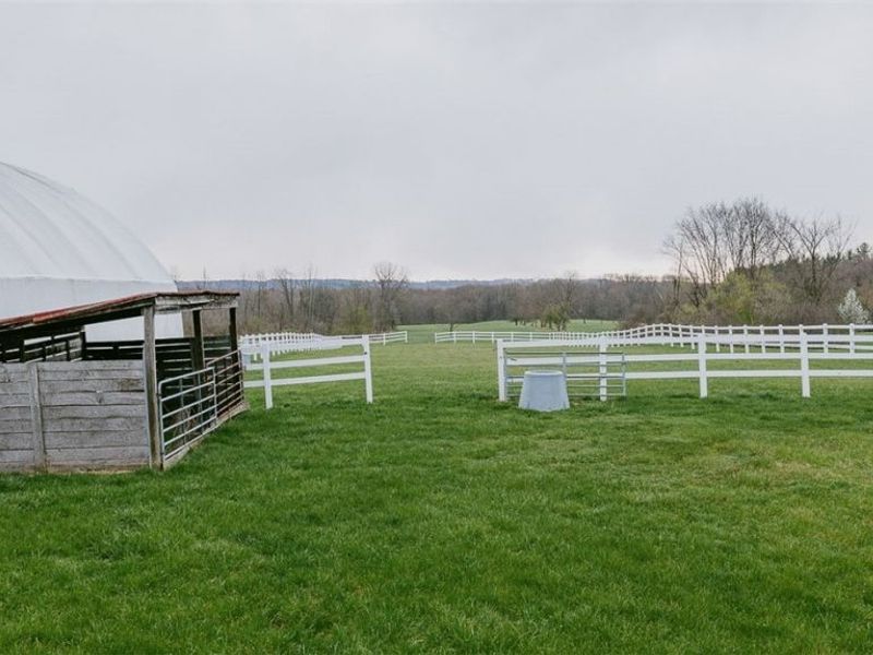 8173 Ballash Road, Medina, OH 44256 Photo 21