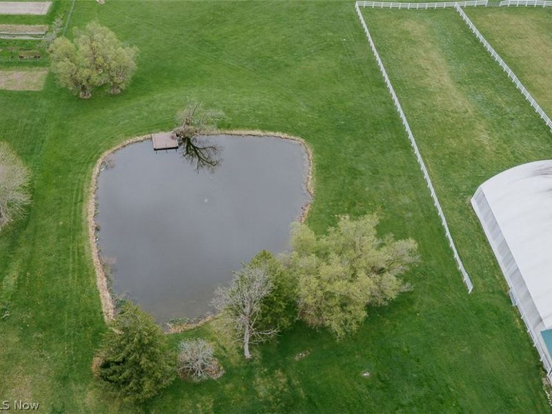 8173 Ballash Road, Medina, OH 44256 Photo 23