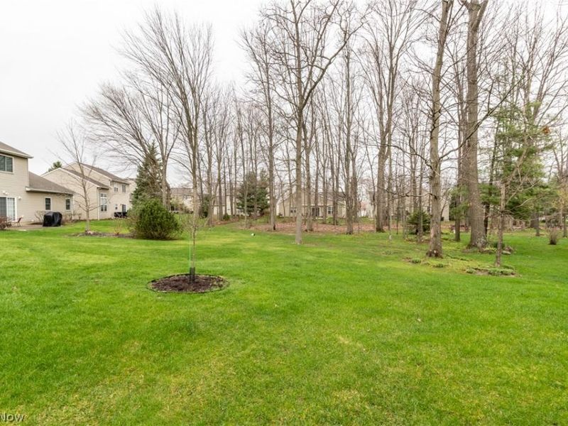 2703 Walton Boulevard, Twinsburg, OH 44087 Photo 41