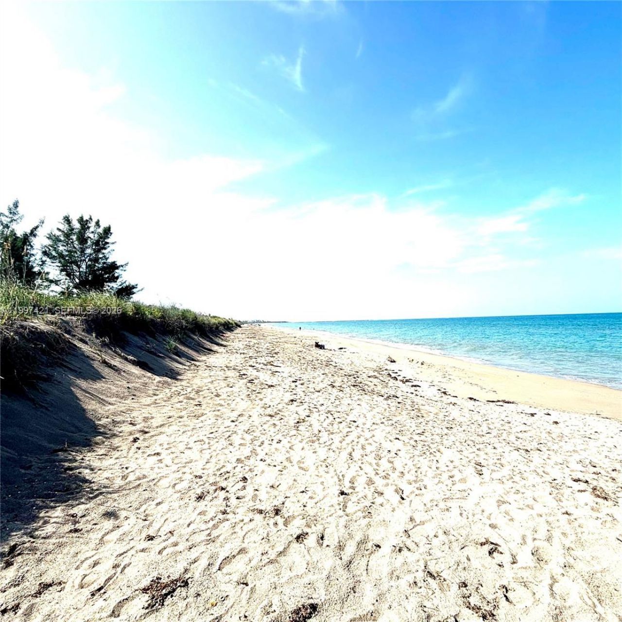 1920 Eucalyptus Ave, Hutchinson Island, FL 34949 Photo