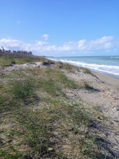 1920 Eucalyptus Ave, Hutchinson Island, FL 34949 Photo