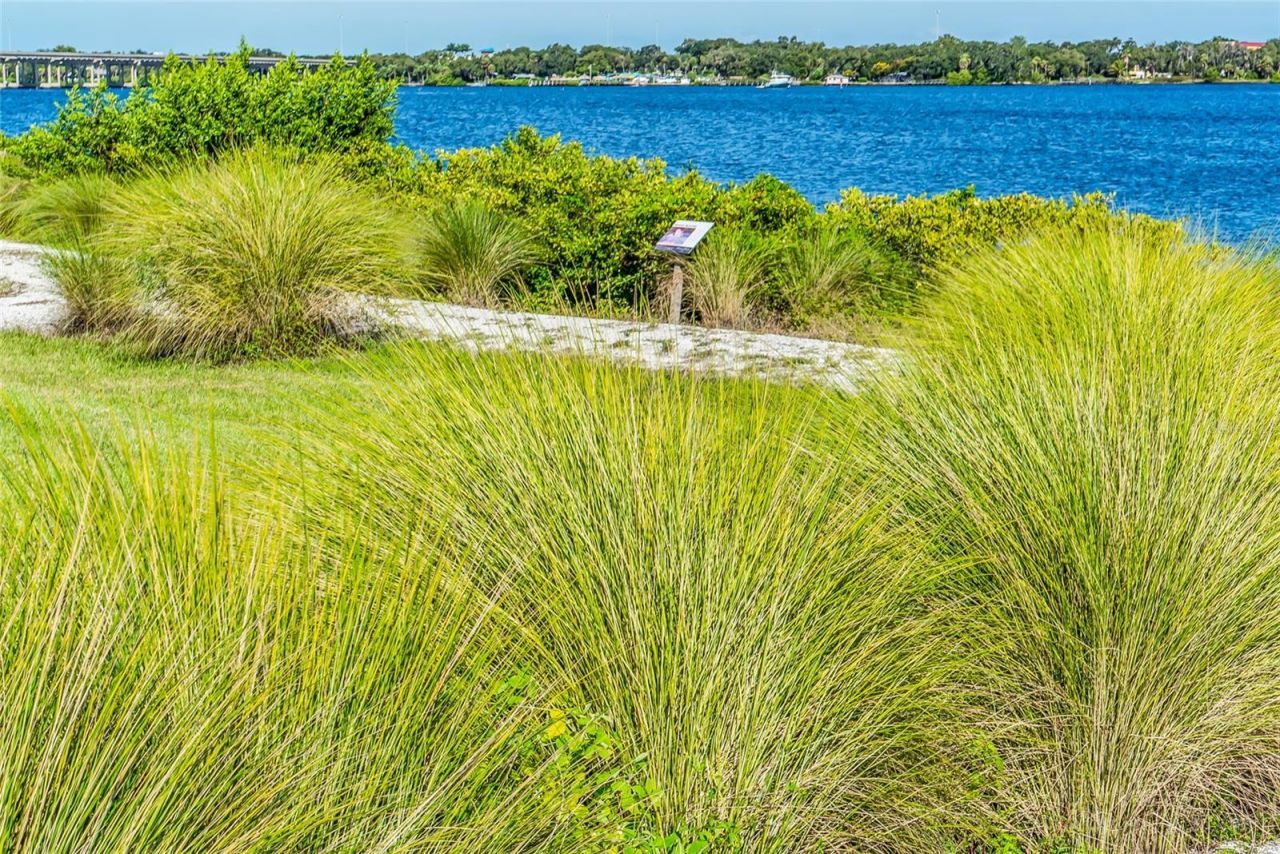 5709 Tidewater Preserve Boulevard, Bradenton, FL 34208 Photo